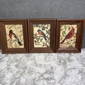 Kay Dee Vintage Hand Prints 100% Pure Linen Framed Bird Prints Vintage Art (3)
